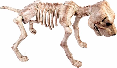 30" Giant Skeleton Dog, Halloween, Graveyard, Haunted House, Reusable Decor - Picture 2 of 12