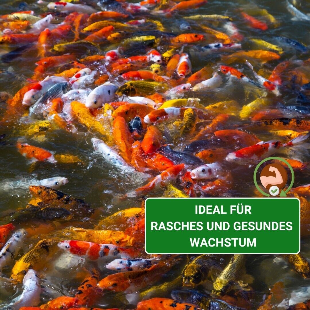Bild 8 von 10