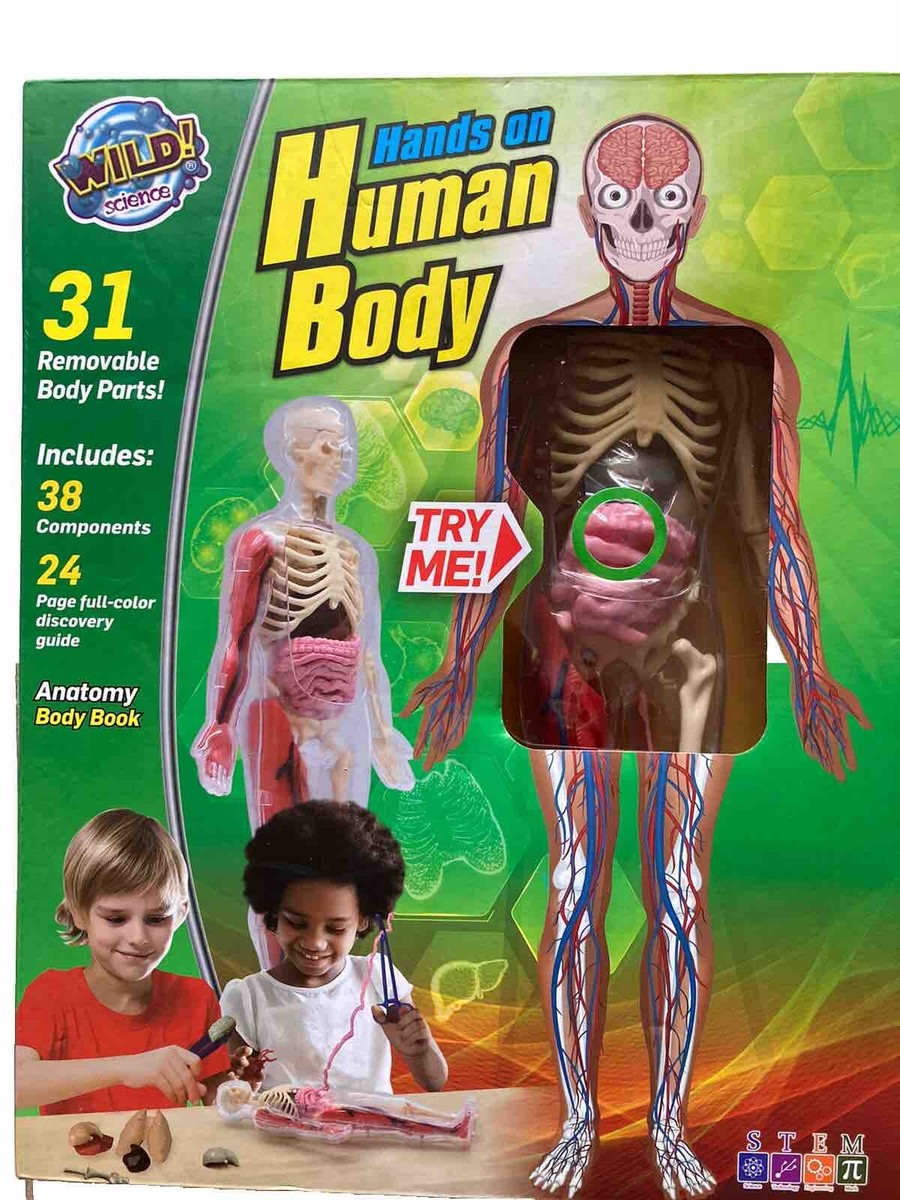 Human Body キット　英語 Wild Science Hand On Human Body Science Kit 38 Pieces With Anatomy