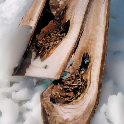 HARDWOODBROS ANT HOLE $15/BF RARE CUSTOM SLAB SET LIVE EDGE RED OAK MATCHING SET