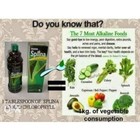 EDMARK Splina Liquid Chloropyll 500ml