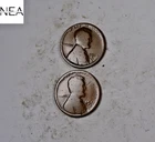 1911-D+1913-D Lincoln Wheat Penny Cent Set/Lot ~ Good G ~ ZWL79