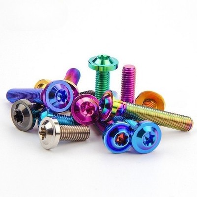 M8 Titanium Bolts Plum Head Truss Screw T40 Torx 10 15 20 25 30 35 40 50 60 70mm