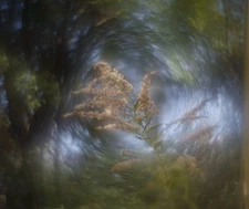 Helios 44-2 58mm F/2 BELOMO Petzval Modification Dreamy Swirly Bokeh M42 LENS