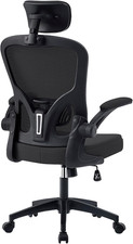 Ergonomic Office Chair with Adjustable Lumbar Support & High-Back Mesh Desk Chai