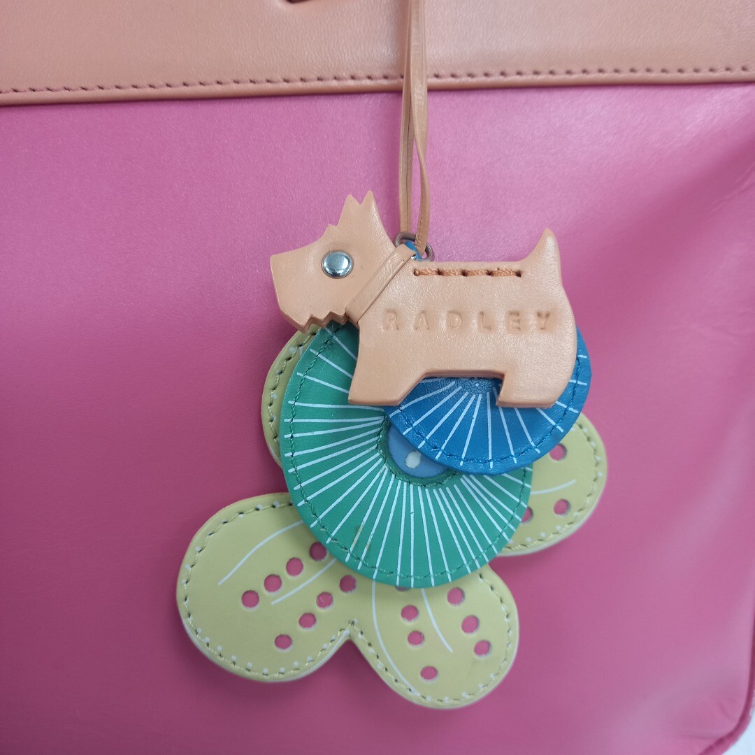 Radley Handbag Women's Pink Orange Leather RMF39MA eBay