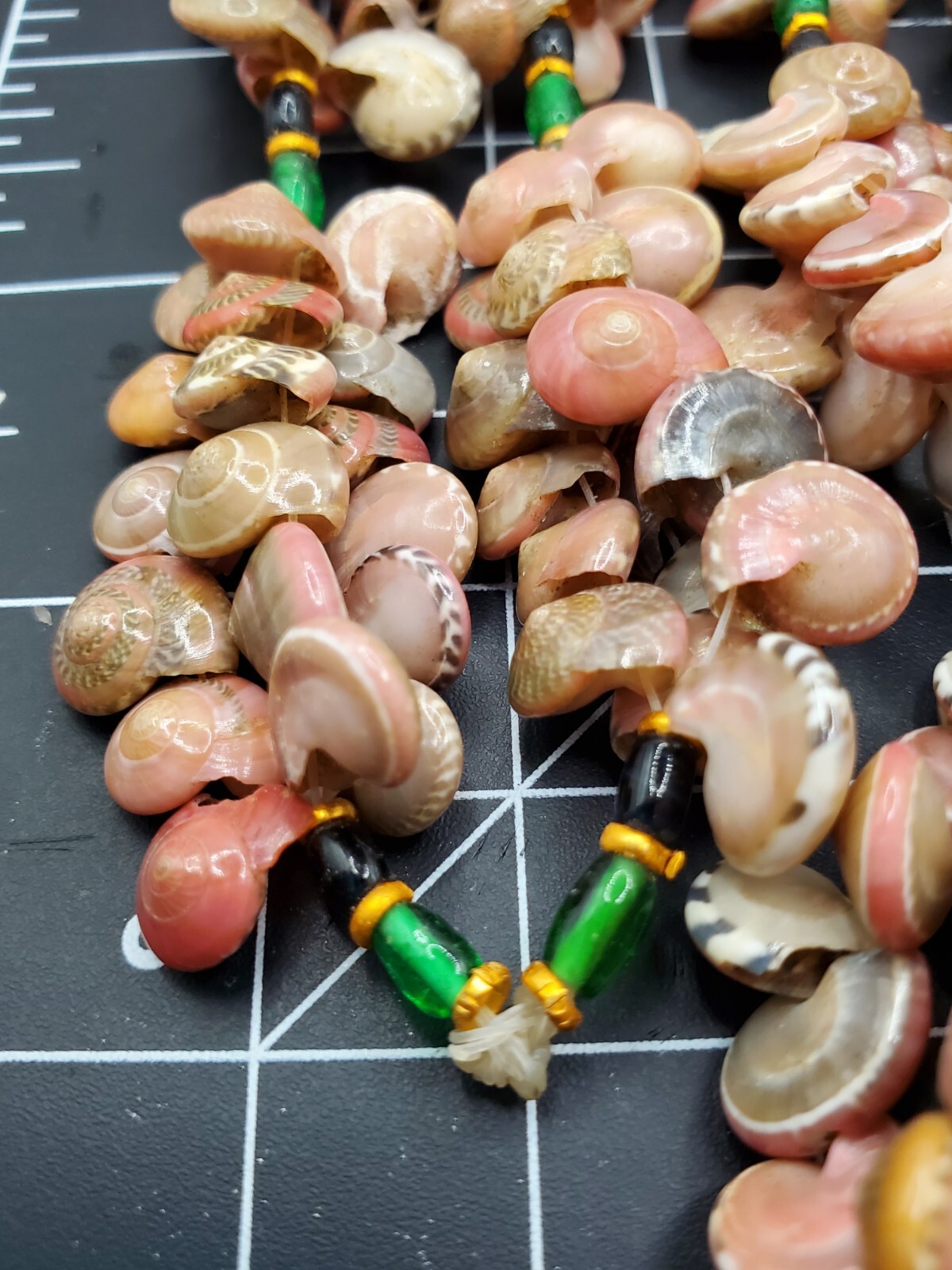 Vintage Seashells Button Shell Necklace Umbonium … - image 6