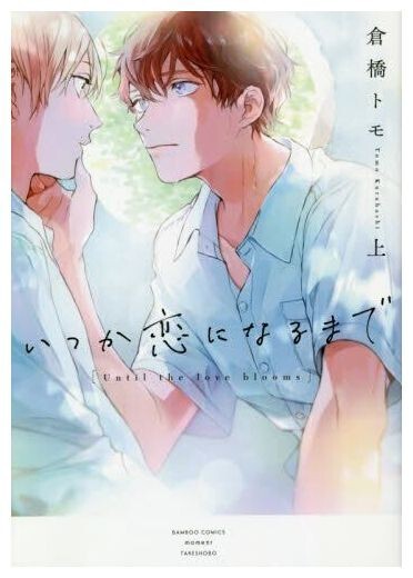 ④BL本まとめ売り　ボーイズラブコミックス　BOYS LOVE COMICS Boys Love (Yaoi): Tachibana, Kaim, Tachibana, Kaim