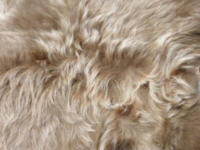 sheepskin leather Toscana hide Cream & Rust Tipped Brown Wavy Super Silky Hair