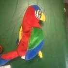 RARE Jabber the Parrot Ty Beanie Baby Excellent Condition! — photo 3