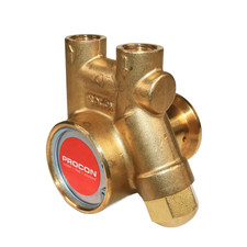 PROCON 111A015F11XX - 3/8" NPT Brass Rotary Vane Pump Series 1