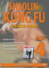 SHAOLIN KUNG FU Volume 4
