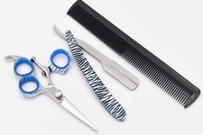 Pack of Hair Cutting Shears, Razor, and Comb Professional Barber Salon Tools