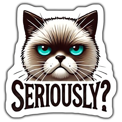 FUNNY GRUMPY CAT Magnet, CAT LOVER GIFT, SERIOUSLY CAT MEME DECAL, WATERPROOF V