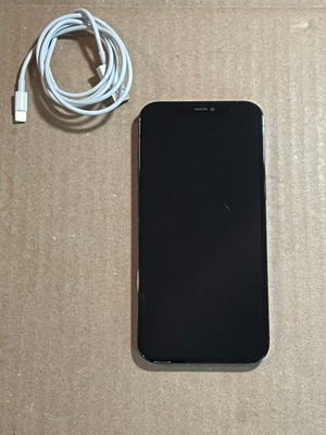 Apple iPhone 12 Pro Max 256GB Pacific Blue (Unlocked) (A2342)