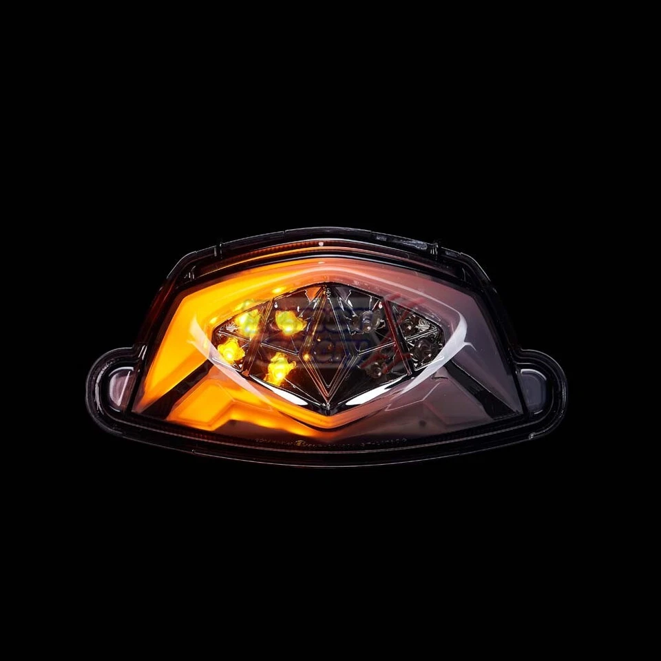 Luz trasera LED INTEGRADA PARA SUZUKI HUMO se adapta a GSXS1000 2015-2024 MARCA EN LA PARTE SUPERIOR Foto 4 de 4