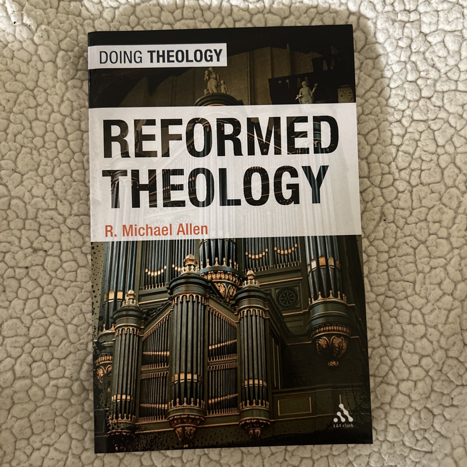 Doing Theology Ser.: Reformed Theology by Michael Allen (2010, Uk-Trade Paper)