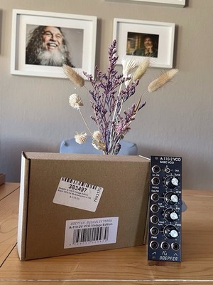 Doepfer A-110-2v Basic VCO (Vintage Edition)   Eurorack Modul (8 TE)