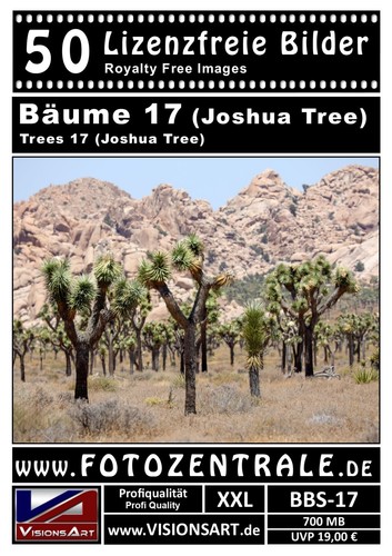 665 photos professionnelles libres de droits ! Arbres ! NP 380,- Photoshop ! (Libre de droits) - Photo 6/21