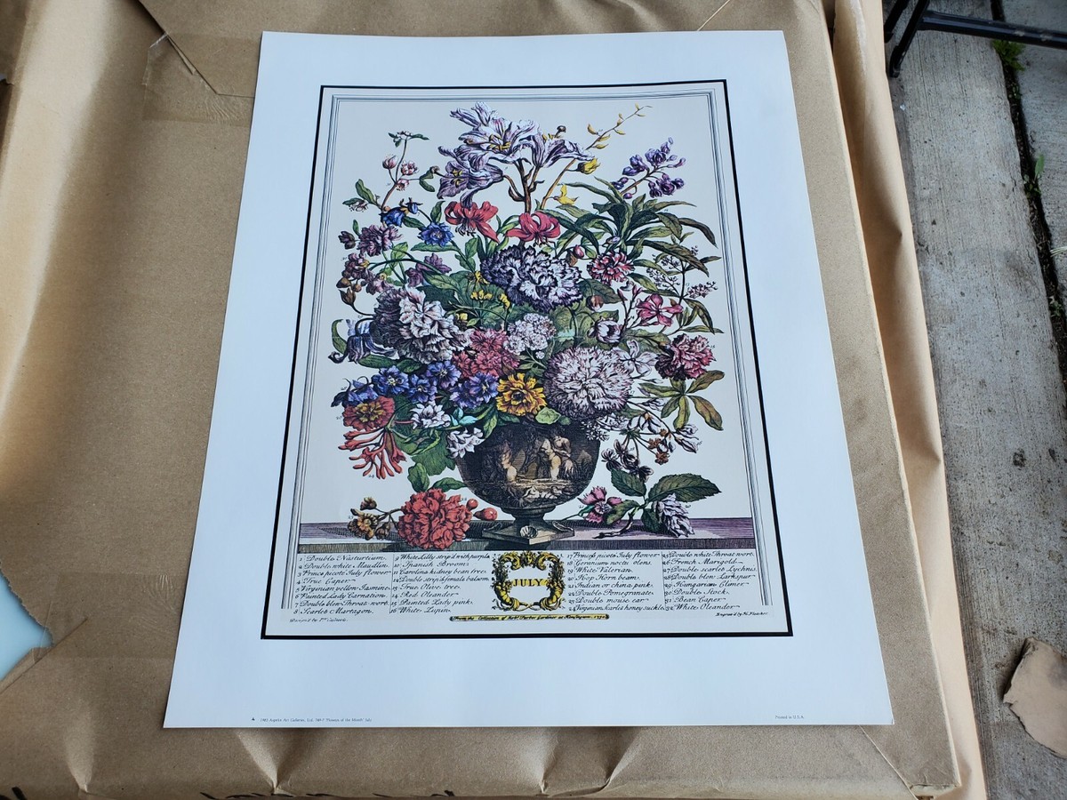 Twelve Months of Flowers Aspelin 749-7 July 20 x16 Robert Furber