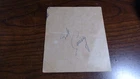 Bob Cousy Autograph - Boston Celtics