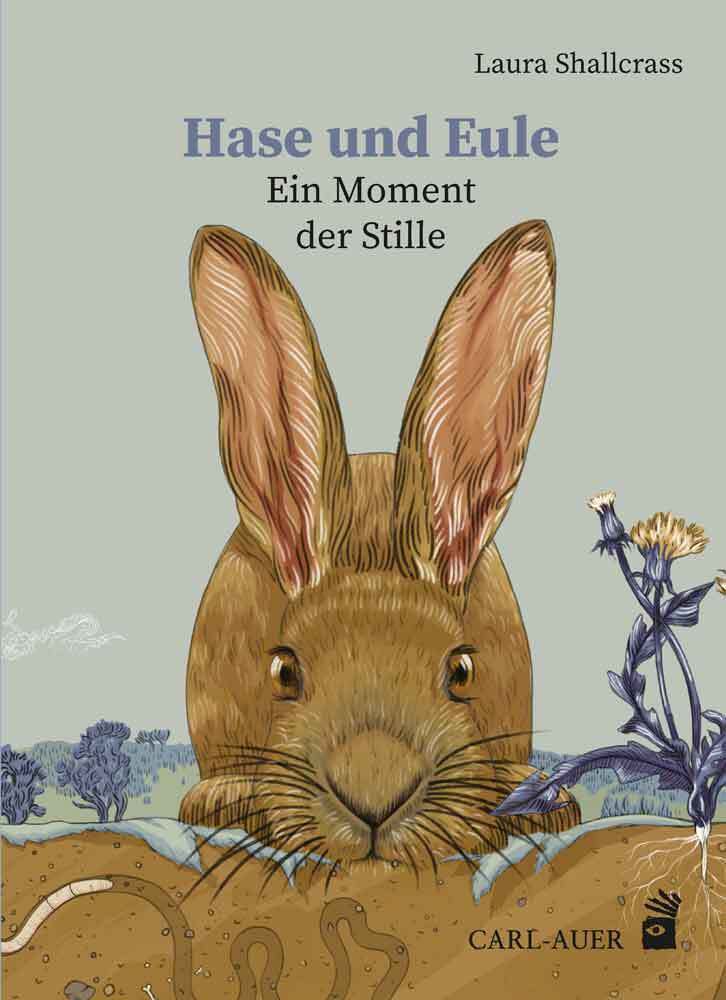 Thumbnail - Hase Und Eule Ein Moment Der Stille. Bilderbuch Laura Shallcrass Buch