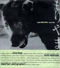 Daido Moriyama : Stray Dog by Daido Moriyama and Sandra S