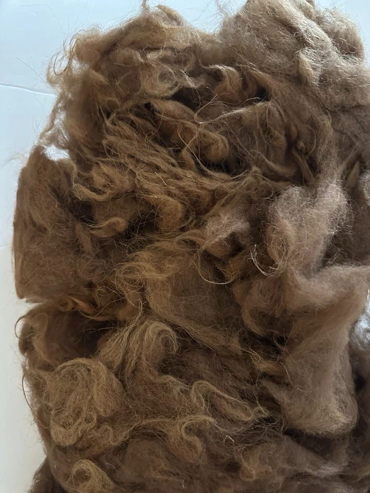 11.1oz Llama Fleece Cinnamon Brown Natural Spinning Fiber (C5) - Image 3 of 3