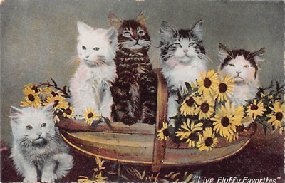 Five Fluffy Adorable Kitten in Basket of Brown-Eyed Susans-Vintage Cat PC-No.302