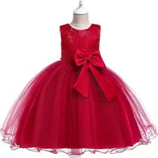 Embroidered Bow Princess Dress Lace Mesh Wedding Birthday Party Dress Girl Dress