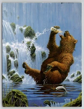 CELESTIAL SEASONINGS Artwork Designed by BRUCE WOLFE 1977 - Posted 1981 POSTCARD