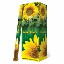 Flute Fragrant Charcoal Incense Sticks Sunflower Square packs - 200 Sticks Total