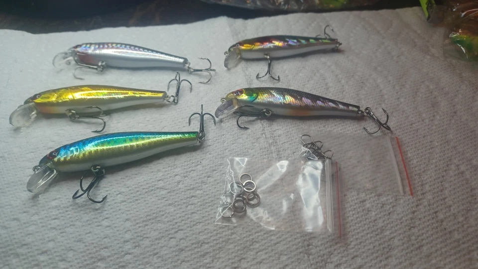 Minnows flotantes Foto 3 de 4