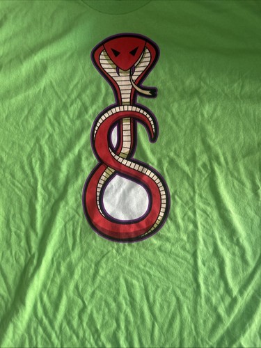 Jake ‘The Snake’ Roberts WWE Wrestling Hall Of Fame 2014 DDT WWF XL NWT Defect