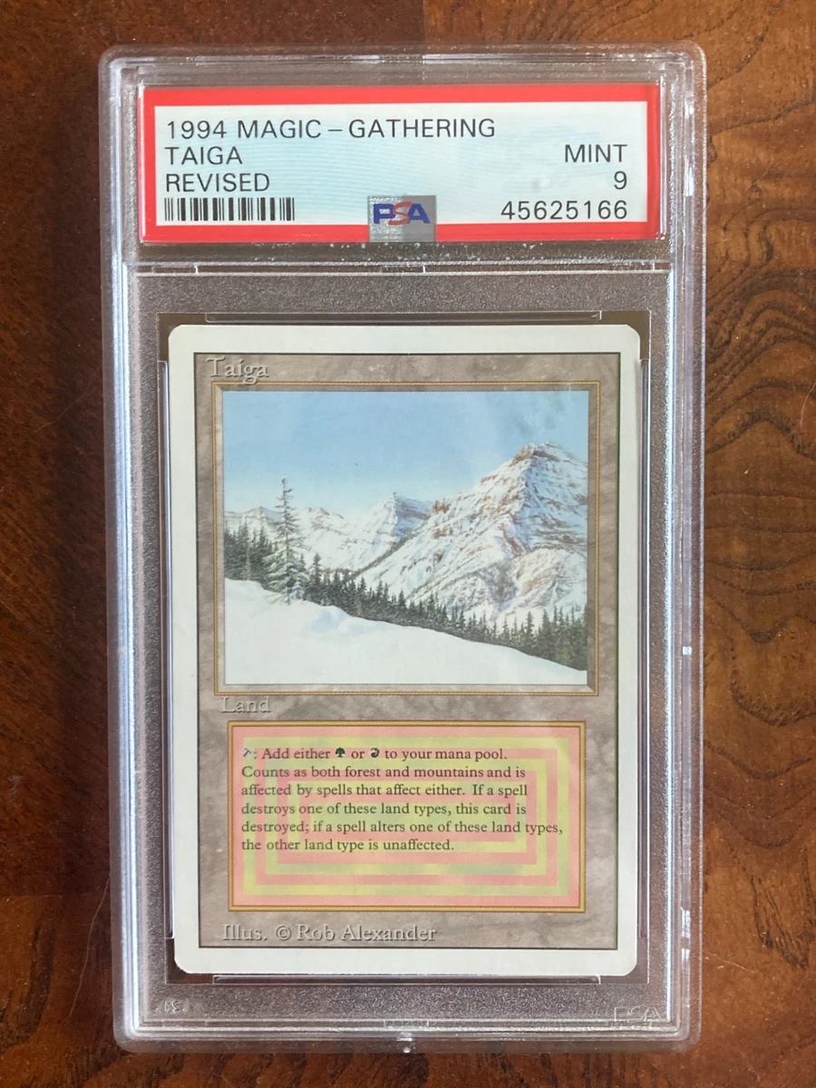 Land Magic: The Gathering Professional Sports Authenticator (PSA