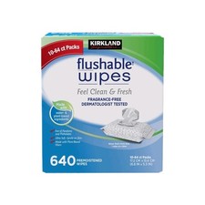 Kirkland Flushable Wipes 10 Pack 640 Count Fragrance Free Pre Moistened Bathroom