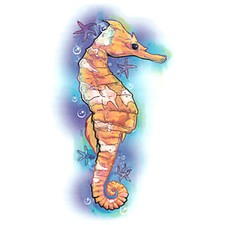 "Nature" Temporary Tattoo, Yellow Seahorse  Starfish