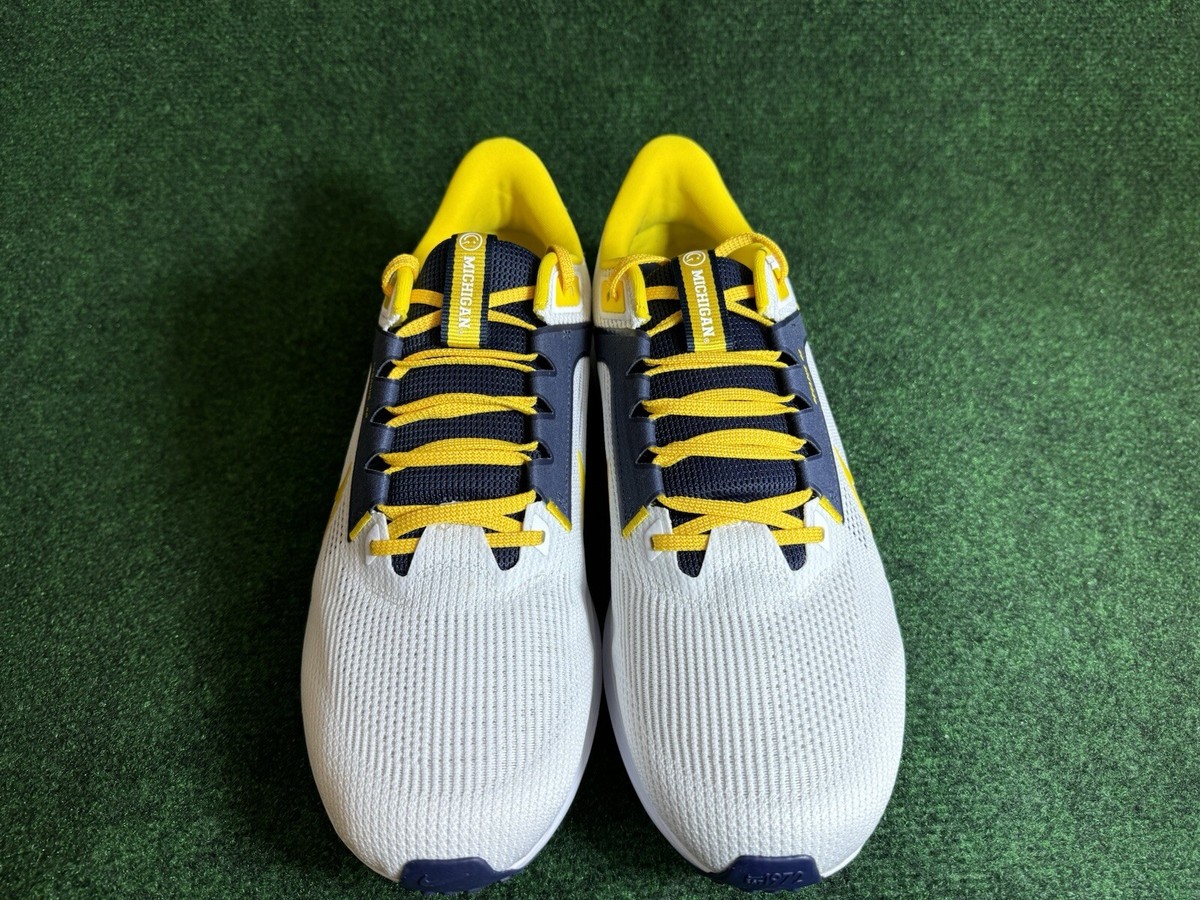 NEW 2023 Michigan Wolverines Nike Air Zoom Pegasus 40  display picture 3