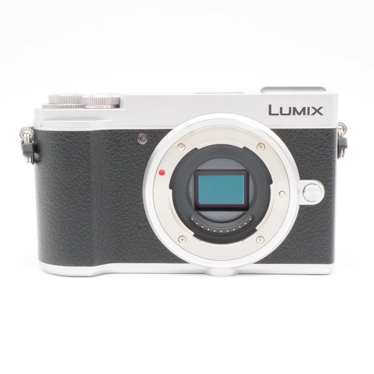 Panasonic LUMIX GX7 Digital Cameras for Sale | Shop New & Used