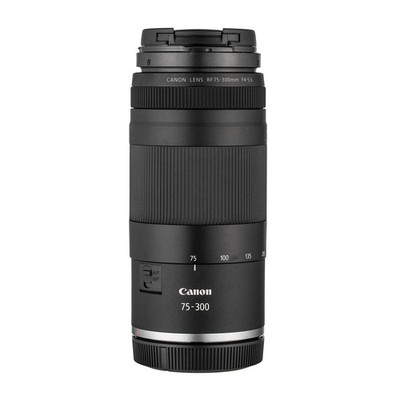 Canon RF 75-300mm F4-5.6 | eBay