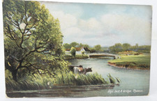 Days Lock Bridge Thame Postcard Tinted 1900s River Thames Cattle Scene