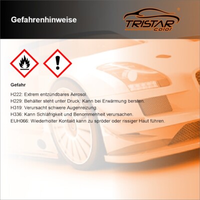 TRISTARcolor RAL 9004 Signalschwarz Spraydose – 400 Ml, Seidenmatt, Schnelltrocknend, Made In Germany