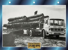 Leyland Hippo 1964 Karta informacyjna