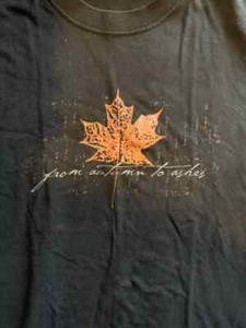 From Autumn to Ashes | eBay