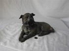 Terra Cotta Pug Dog Antique c1870 Rare Glass Eyes Superb Mint Condition — photo 4