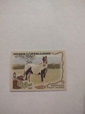 2019 Topps Allen & Ginter American Paint Horse Mares & Stallions #MS-6 (PWE)(04)