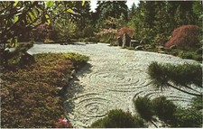 Portland Oregon In the Japanese Garden Spring Color Vintage Postcard