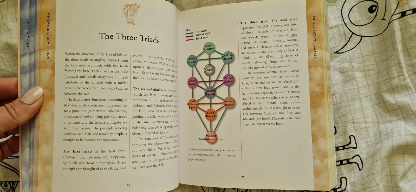 The Angel Bible The definitive guide to angel wisdom by Hazel Raven