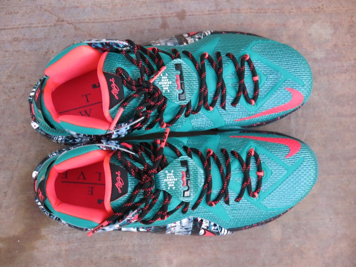 ナイキNike レブロン12 クリスマス限定 AKRON BIRCH ジャンク Size 11 - Nike LeBron 12 Xmas Akron Birch for sale online | eBay