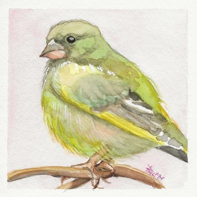 VOGEL AQUARELL expressionistisch GRÜNFINK original HANDGEMALT 10x10cm RalfM